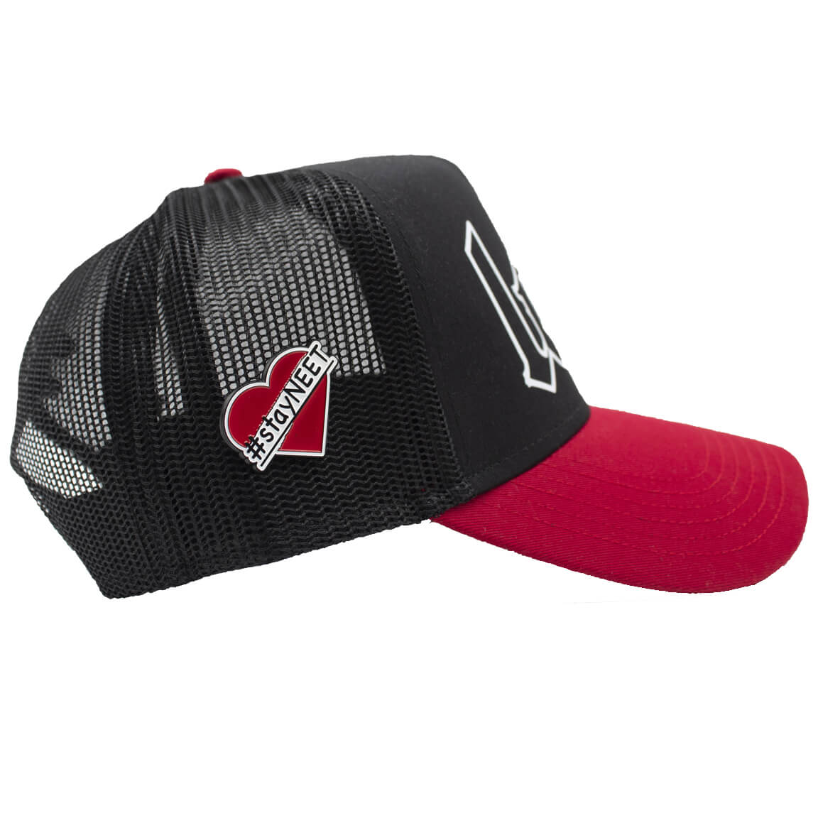 Valentines Day Hat